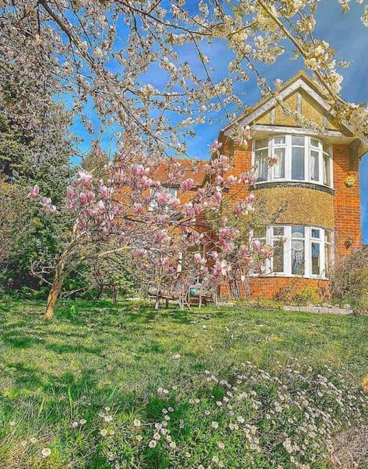 The Apple And Plum Cottage Studio Apartment New Reading Exterior foto